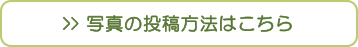 お地蔵様の写真の投稿方法はこちら